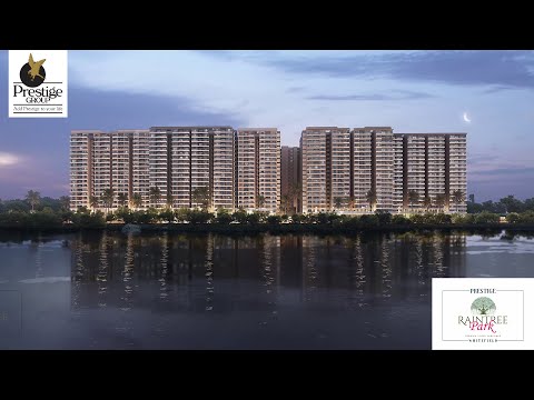 project video